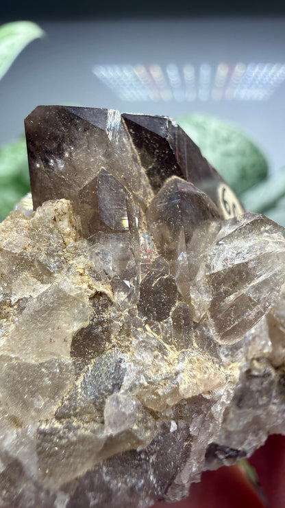 Smoky Quartz- Göschenenalp, Switzerland