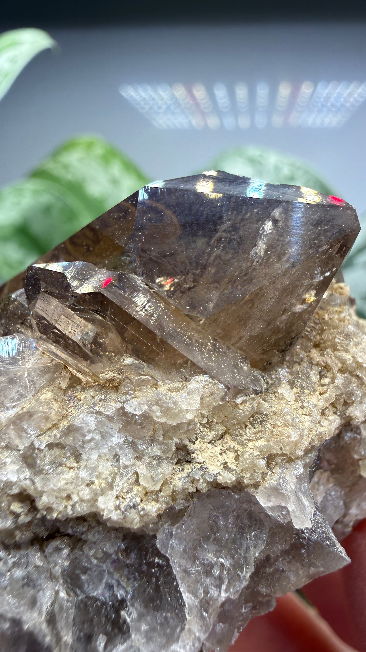 Smoky Quartz- Göschenenalp, Switzerland