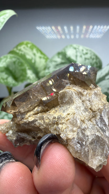Smoky Quartz- Göschenenalp, Switzerland