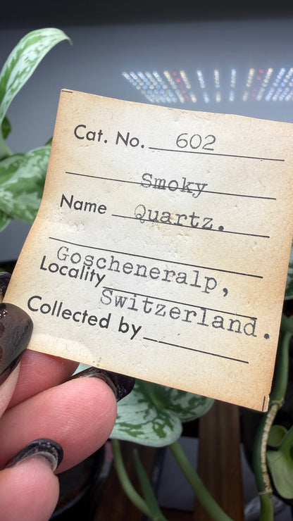 Smoky Quartz- Göschenenalp, Switzerland