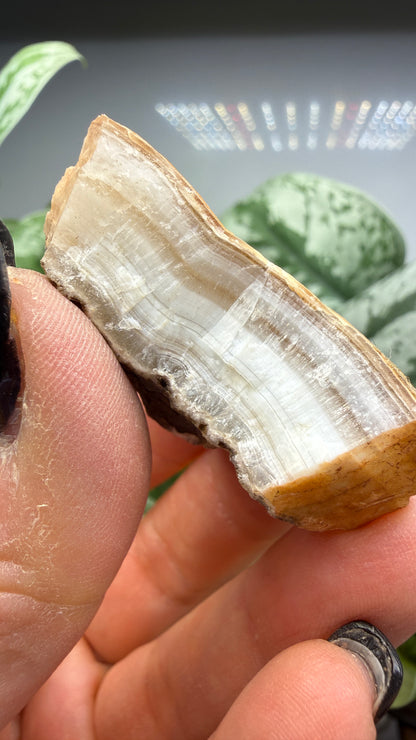 Smithsonite- Broken Hill Mine, Kabwe, Central Province, Zambia