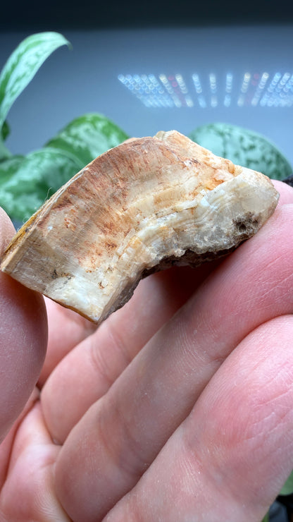 Smithsonite- Broken Hill Mine, Kabwe, Central Province, Zambia