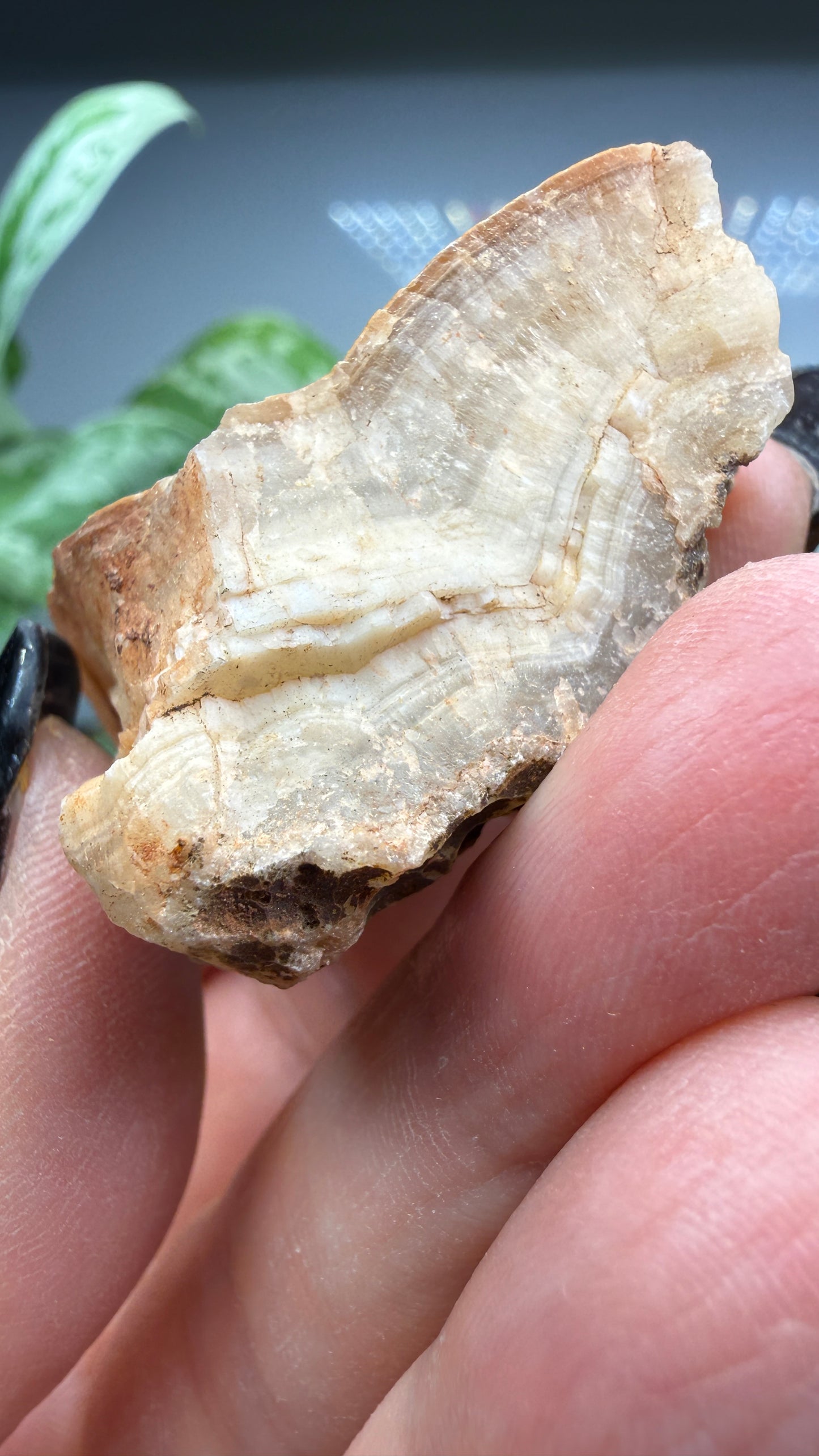Smithsonite- Broken Hill Mine, Kabwe, Central Province, Zambia