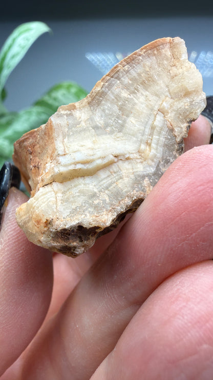 Smithsonite- Broken Hill Mine, Kabwe, Central Province, Zambia