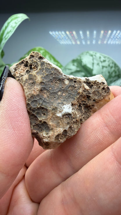 Smithsonite- Broken Hill Mine, Kabwe, Central Province, Zambia
