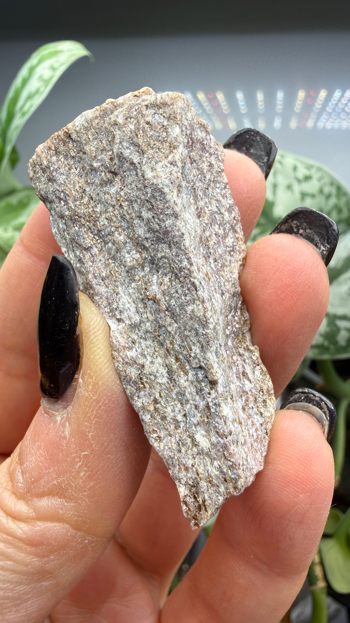 Muscovite var. Alurgite (Manganese-Bearing Muscovite)- San Bernardino County, California
