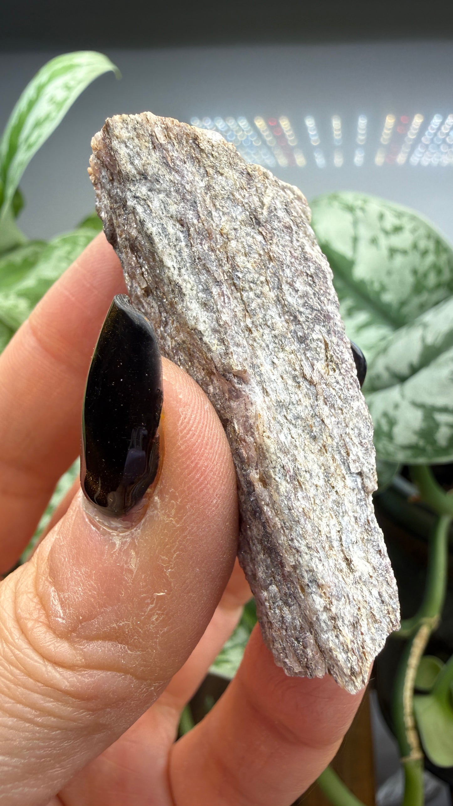 Muscovite var. Alurgite (Manganese-Bearing Muscovite)- San Bernardino County, California