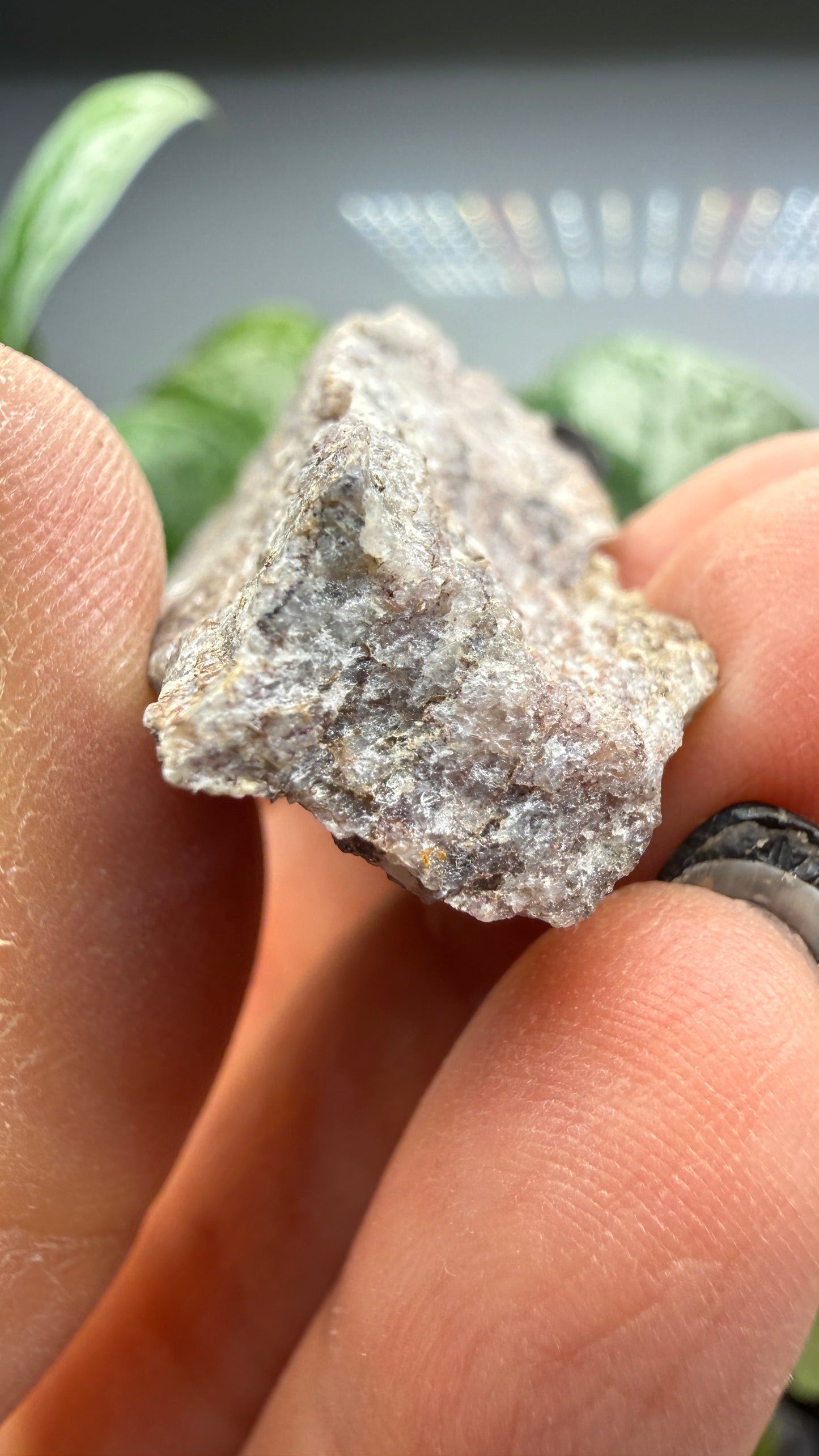 Muscovite var. Alurgite (Manganese-Bearing Muscovite)- San Bernardino County, California