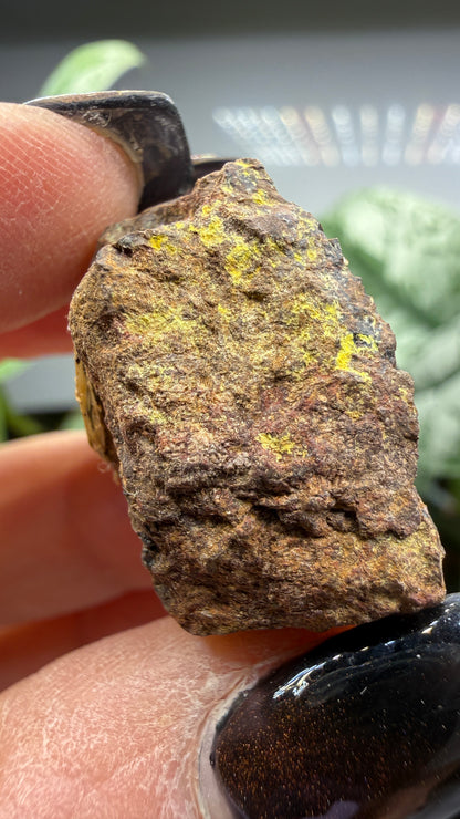 Cyrtolite, 5.5% Hafnium- Bedford, New York