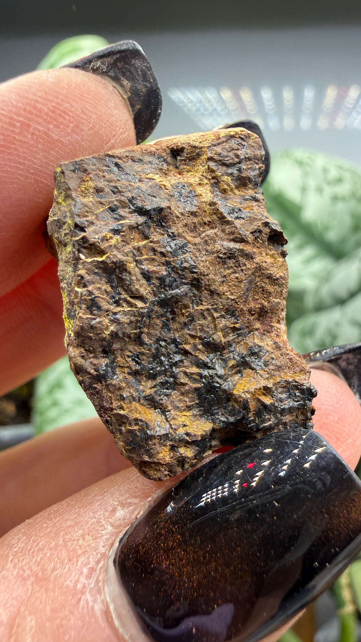 Cyrtolite, 5.5% Hafnium- Bedford, New York