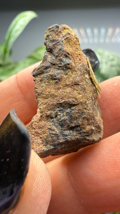 Cyrtolite, 5.5% Hafnium- Bedford, New York
