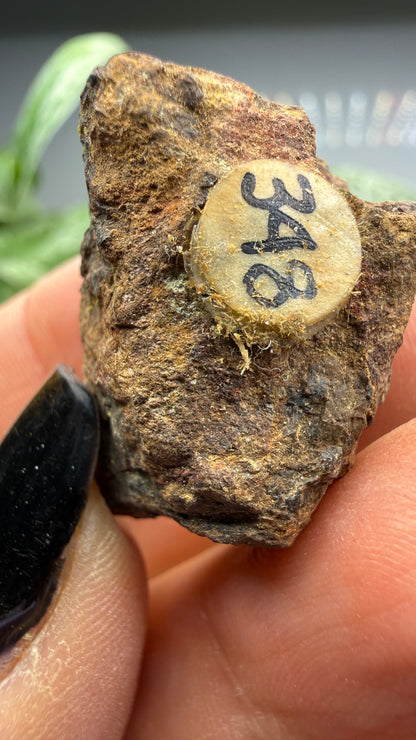 Cyrtolite, 5.5% Hafnium- Bedford, New York