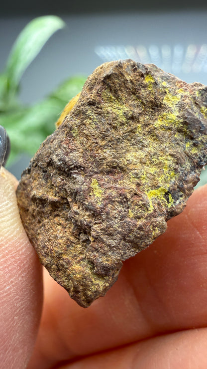 Cyrtolite, 5.5% Hafnium- Bedford, New York