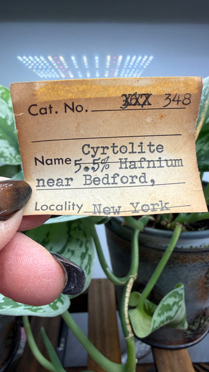 Cyrtolite, 5.5% Hafnium- Bedford, New York