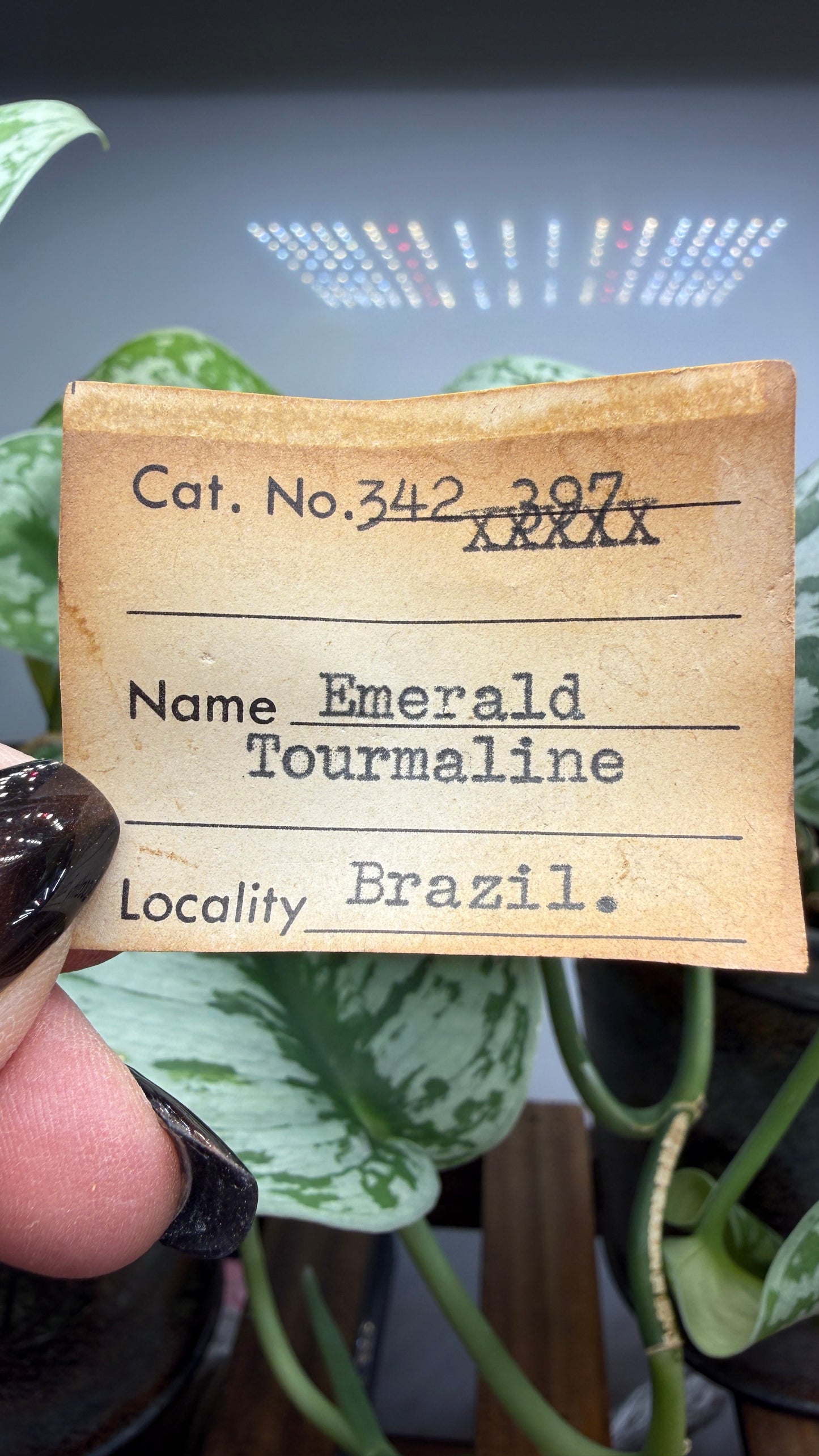Emerald with Tourmaline- Brazil