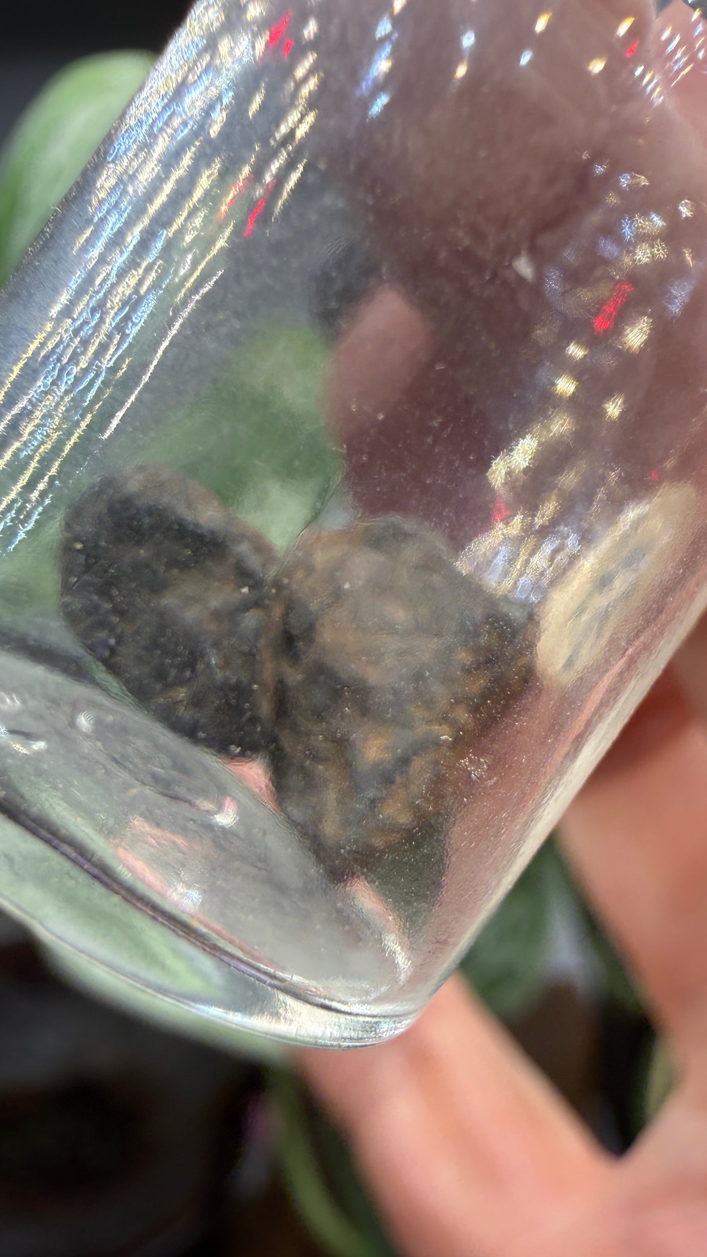 Josephinite- Josephine County, Oregon