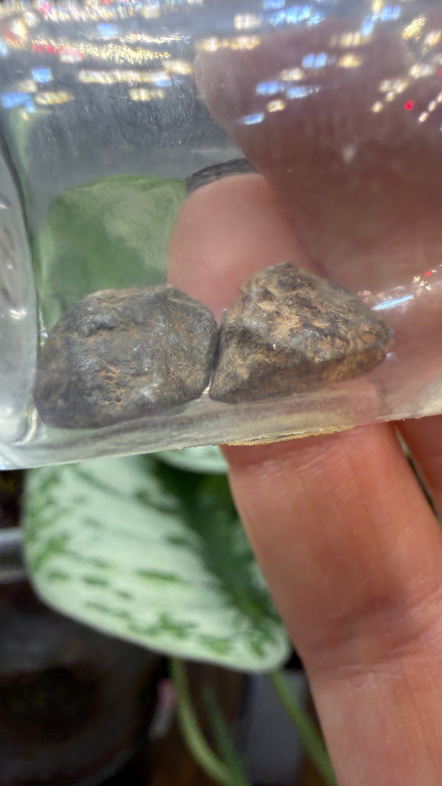 Josephinite- Josephine County, Oregon
