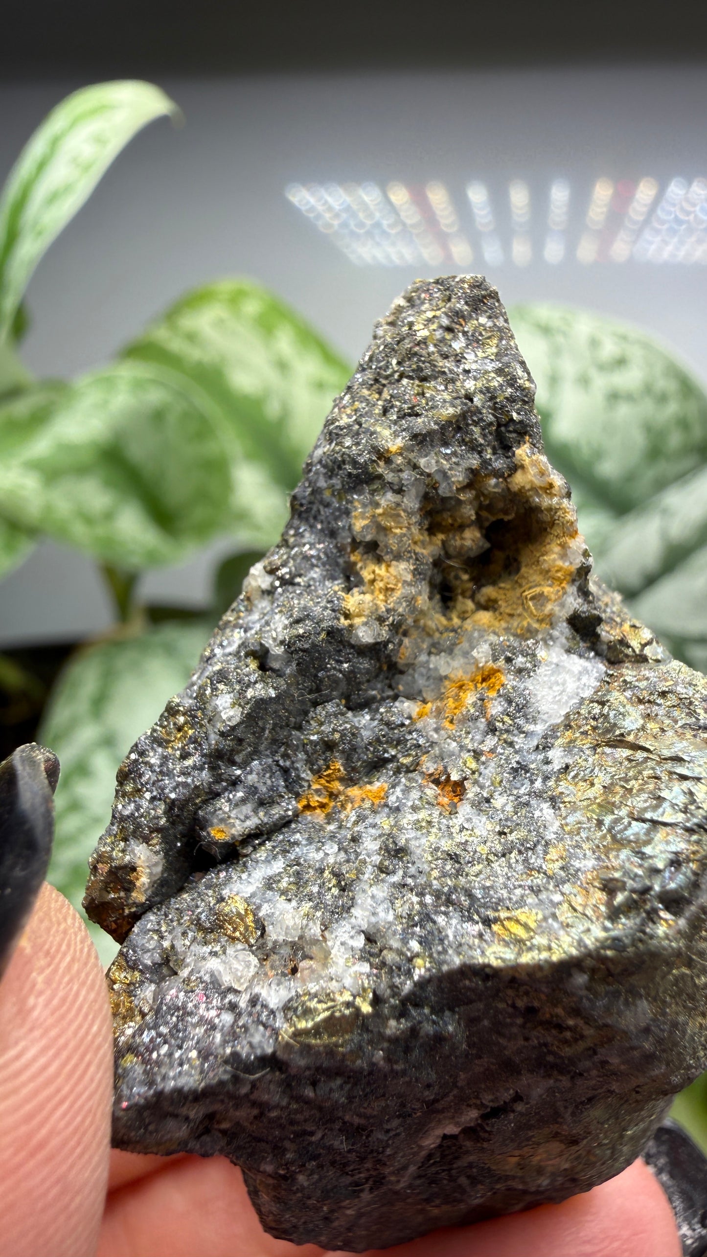 Chalcopyrite with Quartz- Colorado, USA
