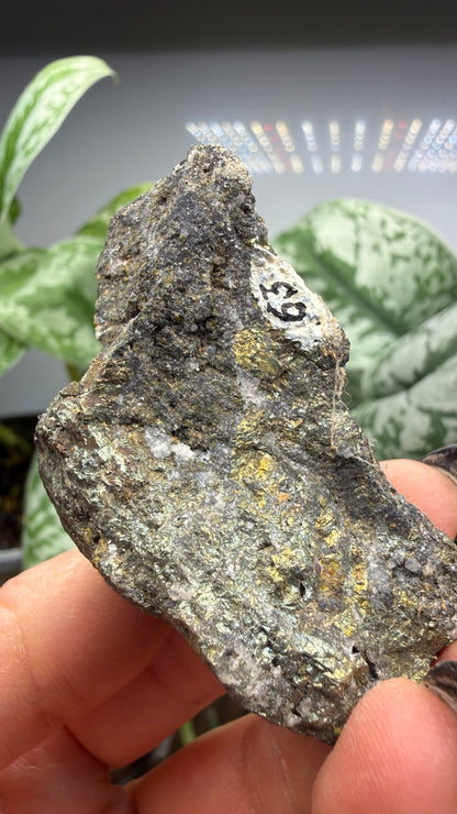 Chalcopyrite with Quartz- Colorado, USA
