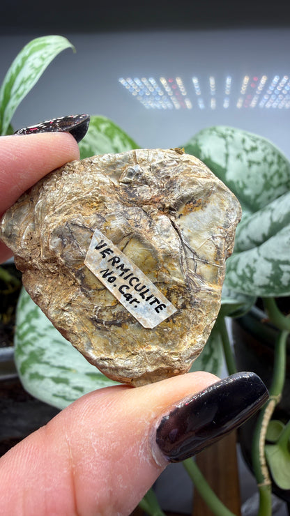 Vermiculite- North Carolina, USA