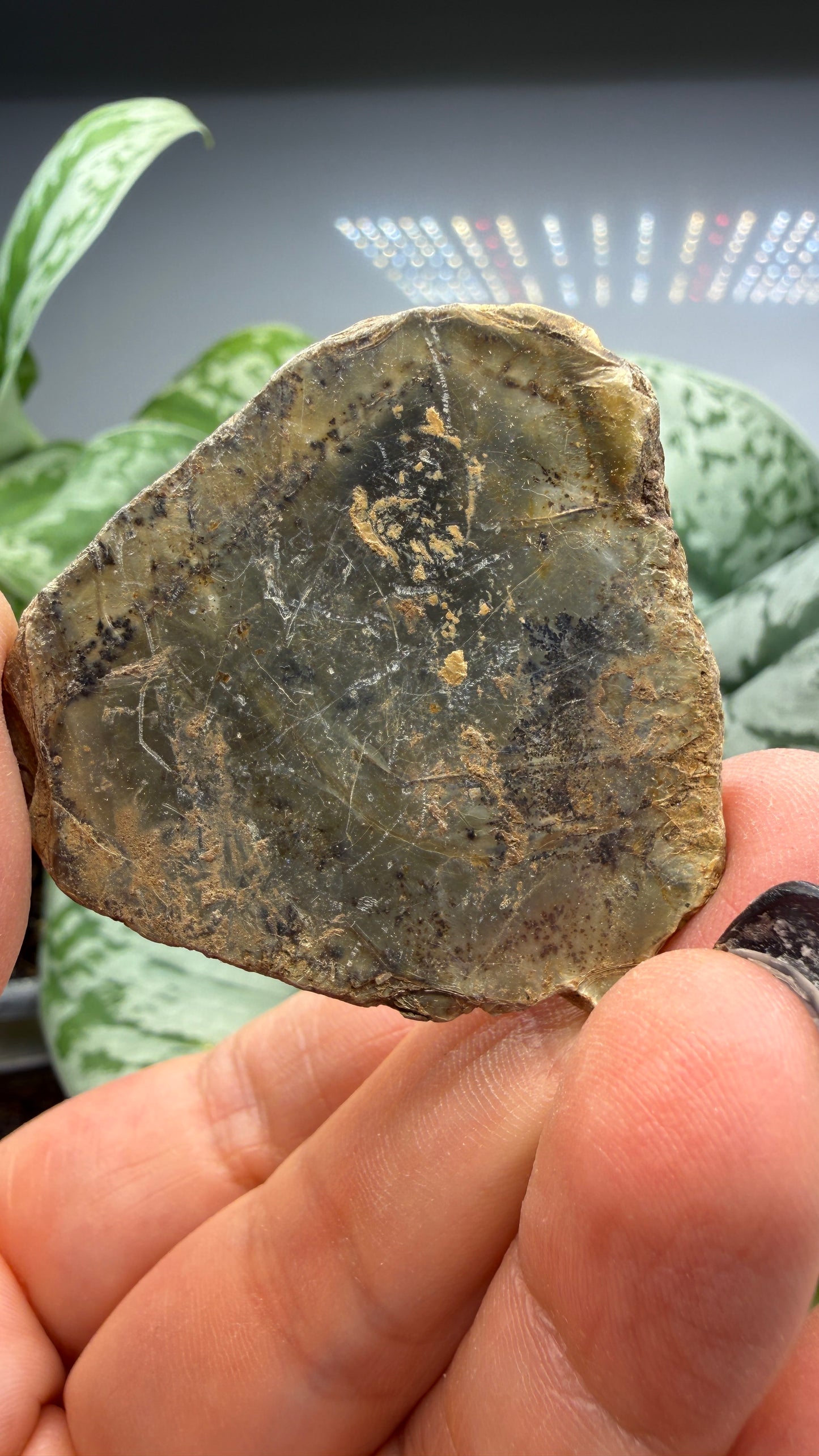 Vermiculite- North Carolina, USA