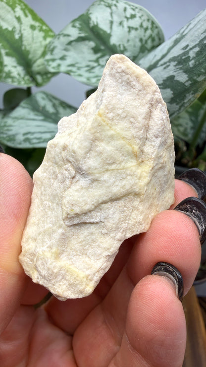 Forsterite- Gabbs, Gabbs Mining District, Nye County, Nevada, USA