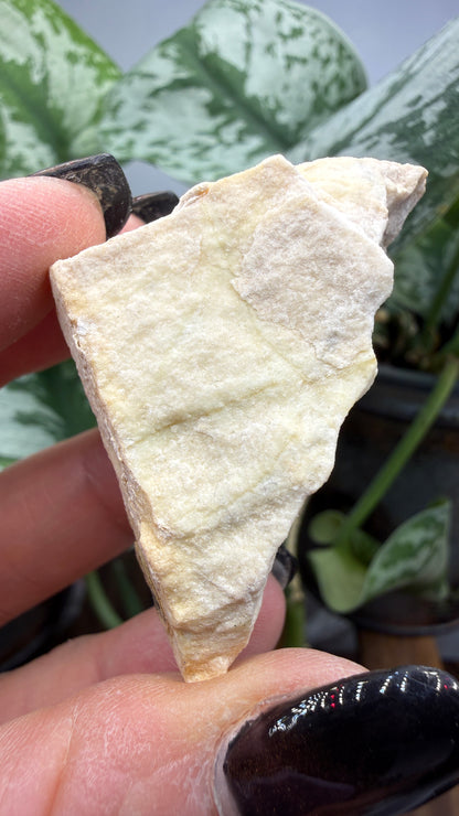 Forsterite- Gabbs, Gabbs Mining District, Nye County, Nevada, USA