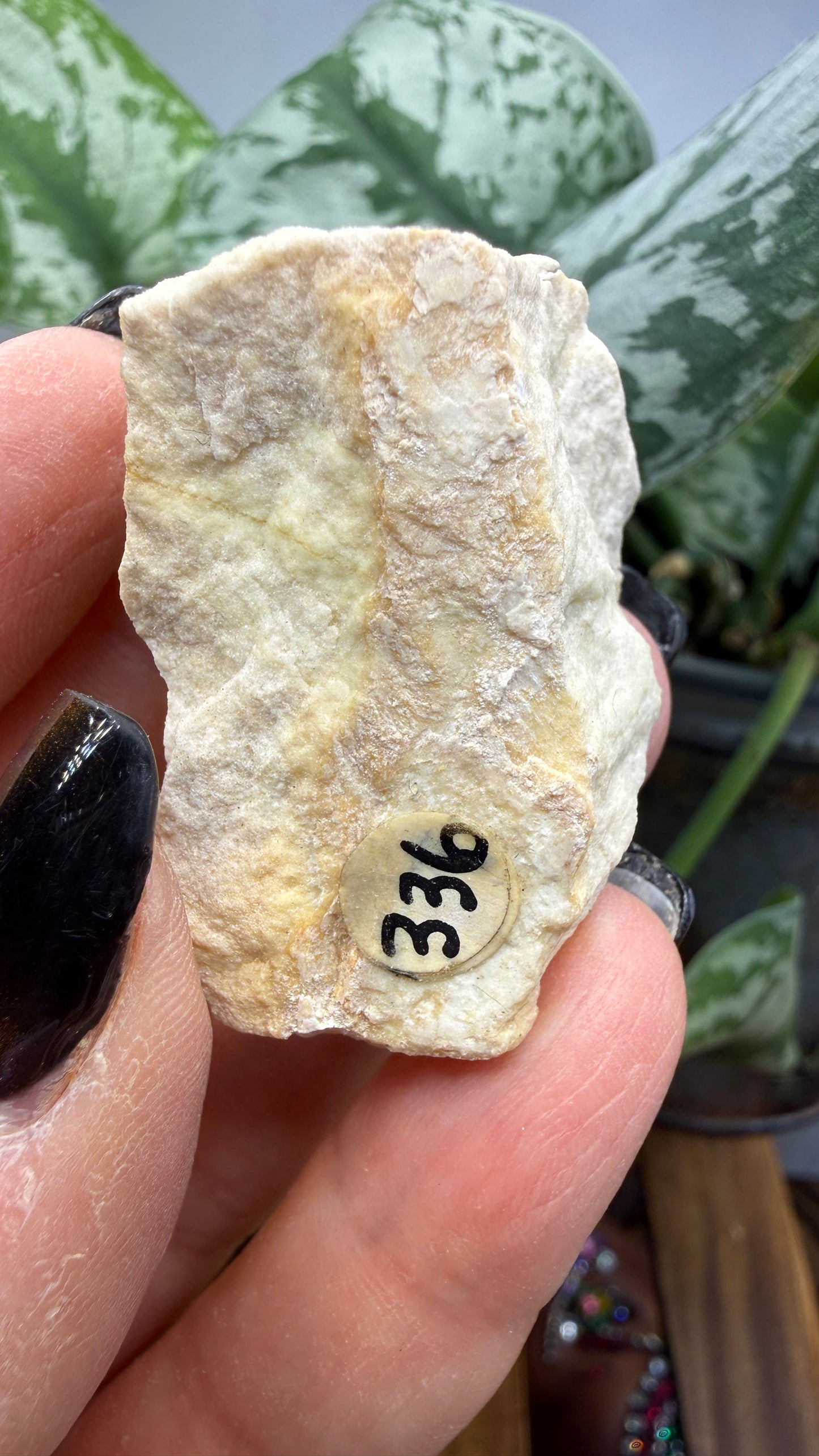 Forsterite- Gabbs, Gabbs Mining District, Nye County, Nevada, USA
