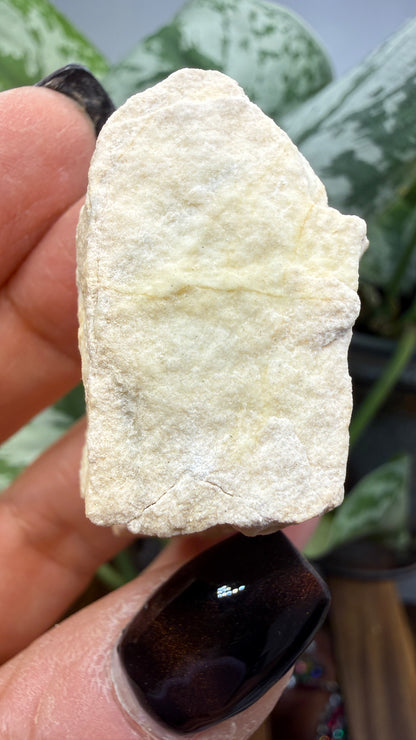 Forsterite- Gabbs, Gabbs Mining District, Nye County, Nevada, USA