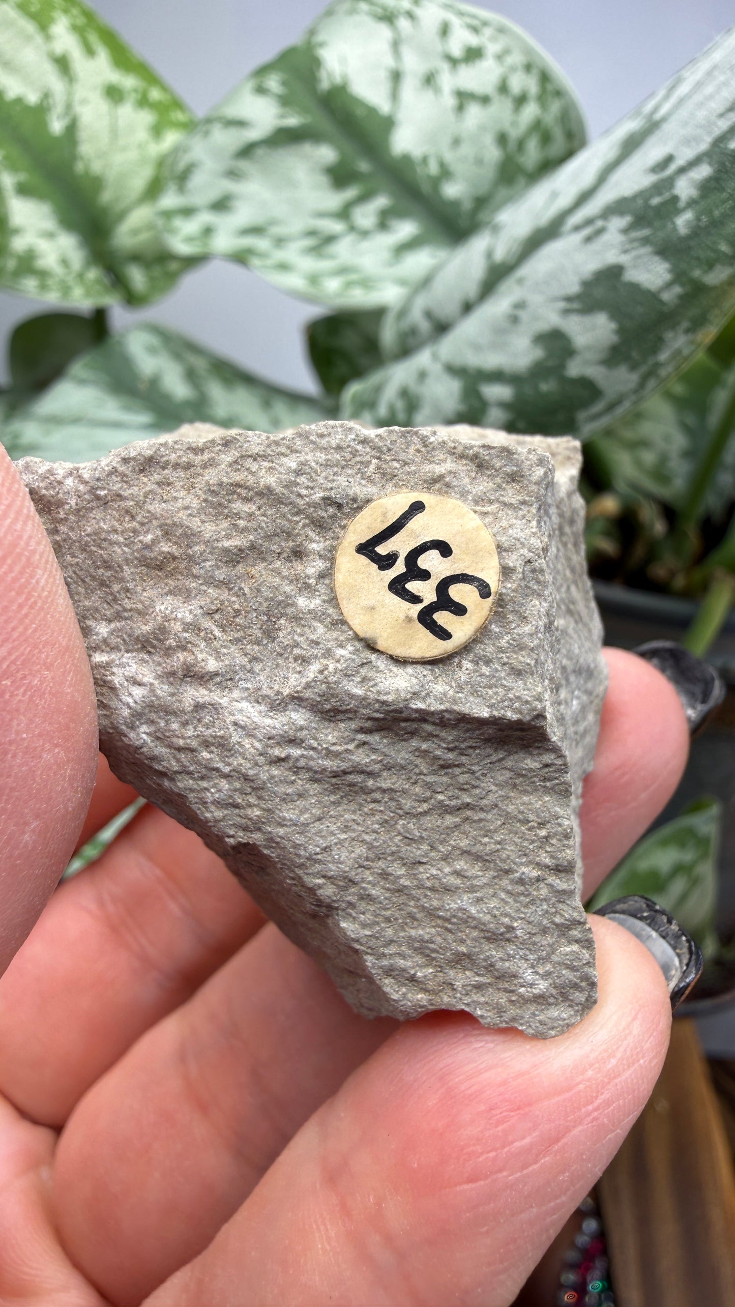 Tridymite (polymorph of silica)- San Diego County, California