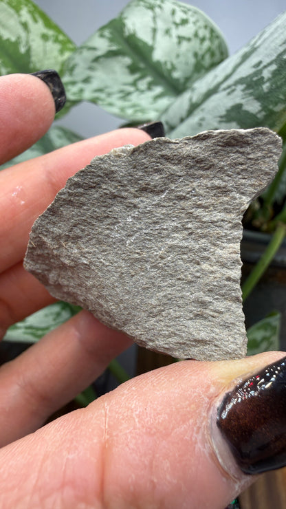Tridymite (polymorph of silica)- San Diego County, California