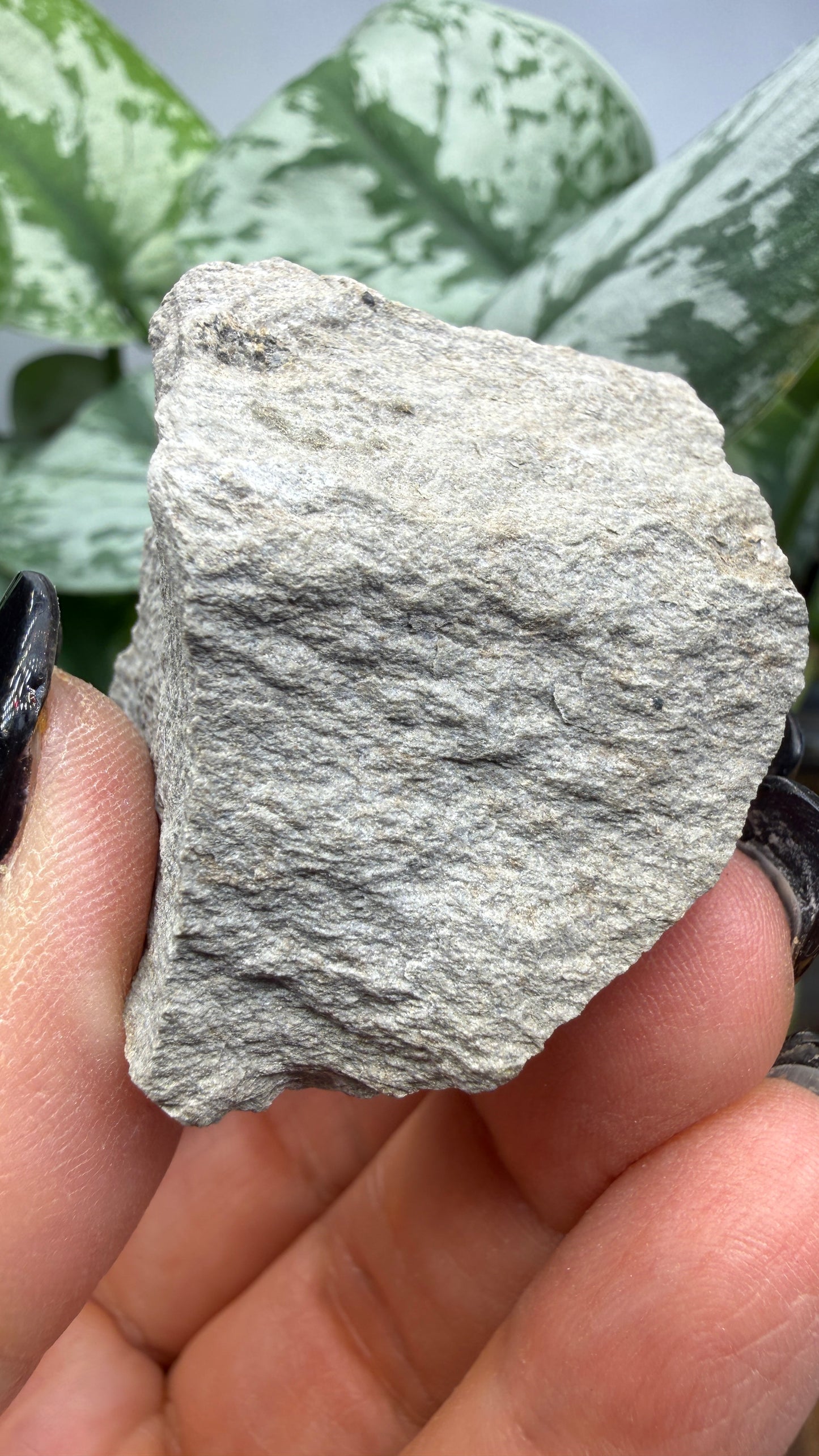 Tridymite (polymorph of silica)- San Diego County, California