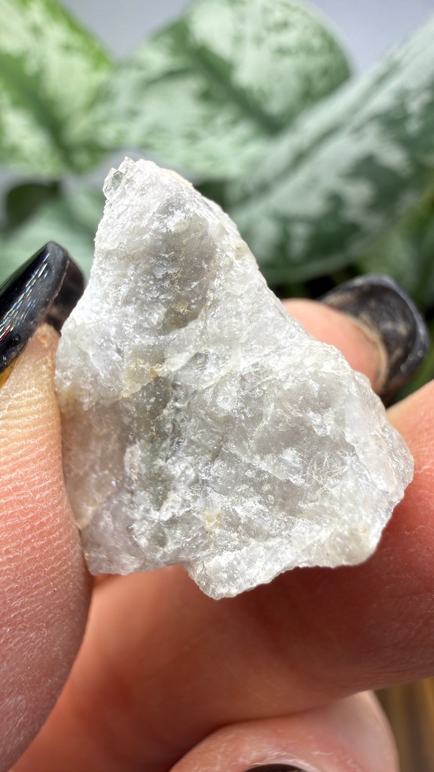 Pollucite- Varuträsk, Skellefteå, Västerbotten County, Sweden