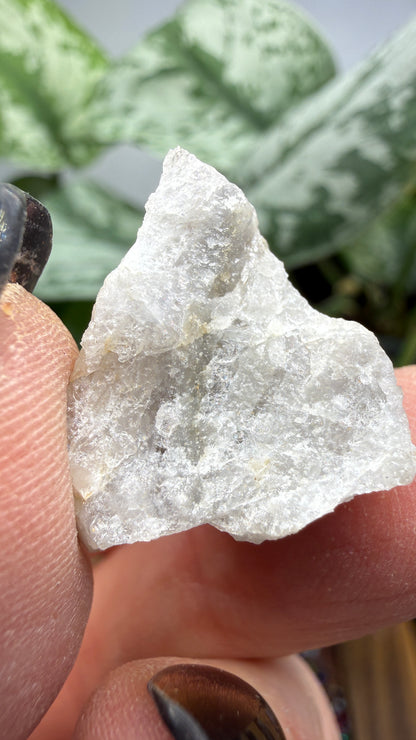 Pollucite- Varuträsk, Skellefteå, Västerbotten County, Sweden