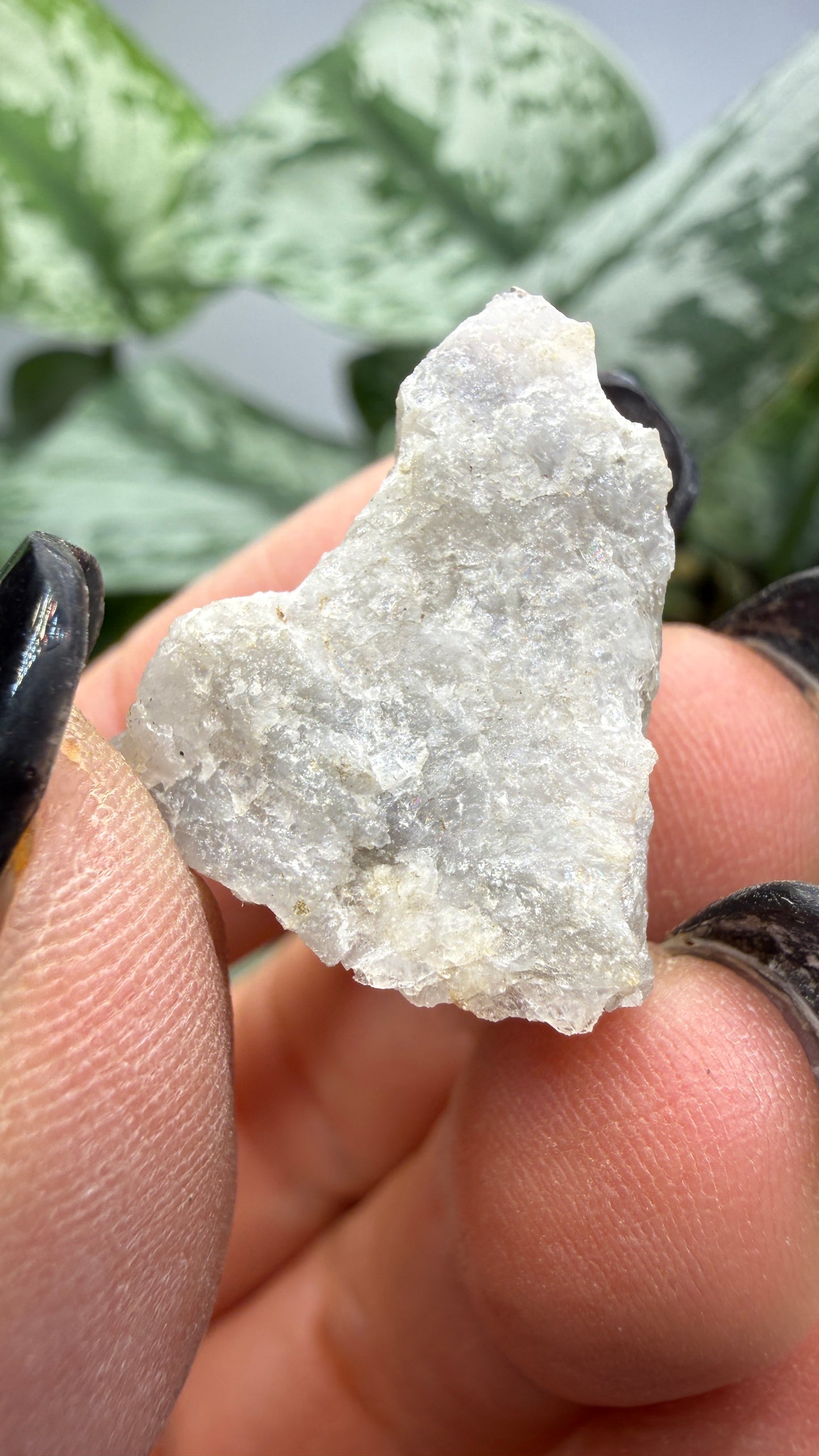 Pollucite- Varuträsk, Skellefteå, Västerbotten County, Sweden