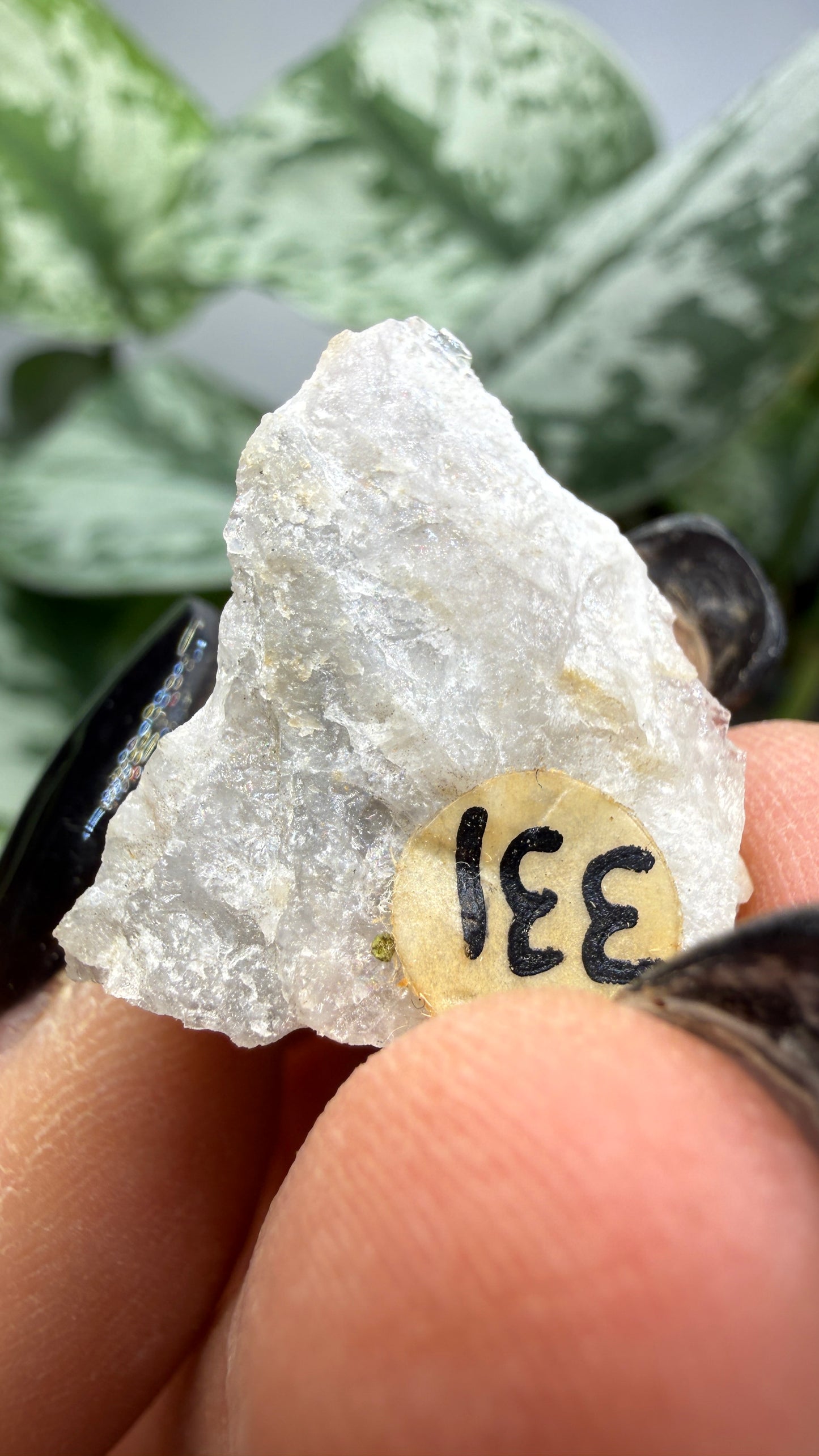 Pollucite- Varuträsk, Skellefteå, Västerbotten County, Sweden