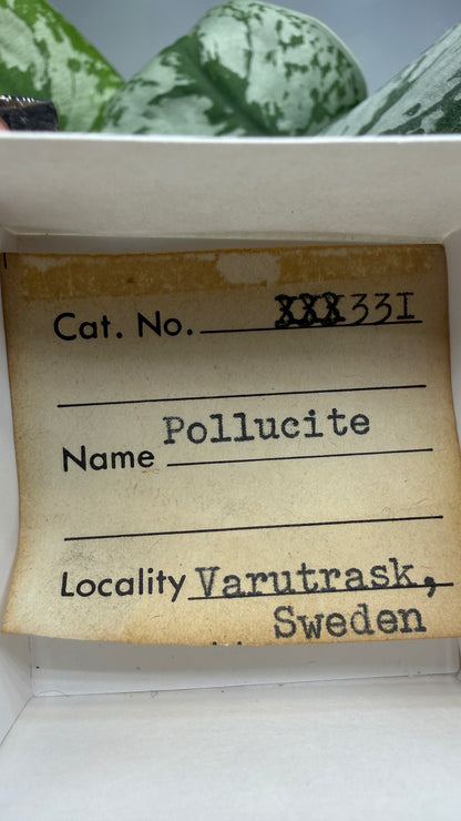 Pollucite- Varuträsk, Skellefteå, Västerbotten County, Sweden