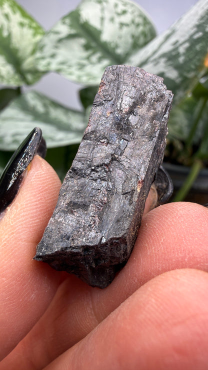 Tilasite- Långban Mine, Långban Ore District, Filipstad, Värmland County, Sweden