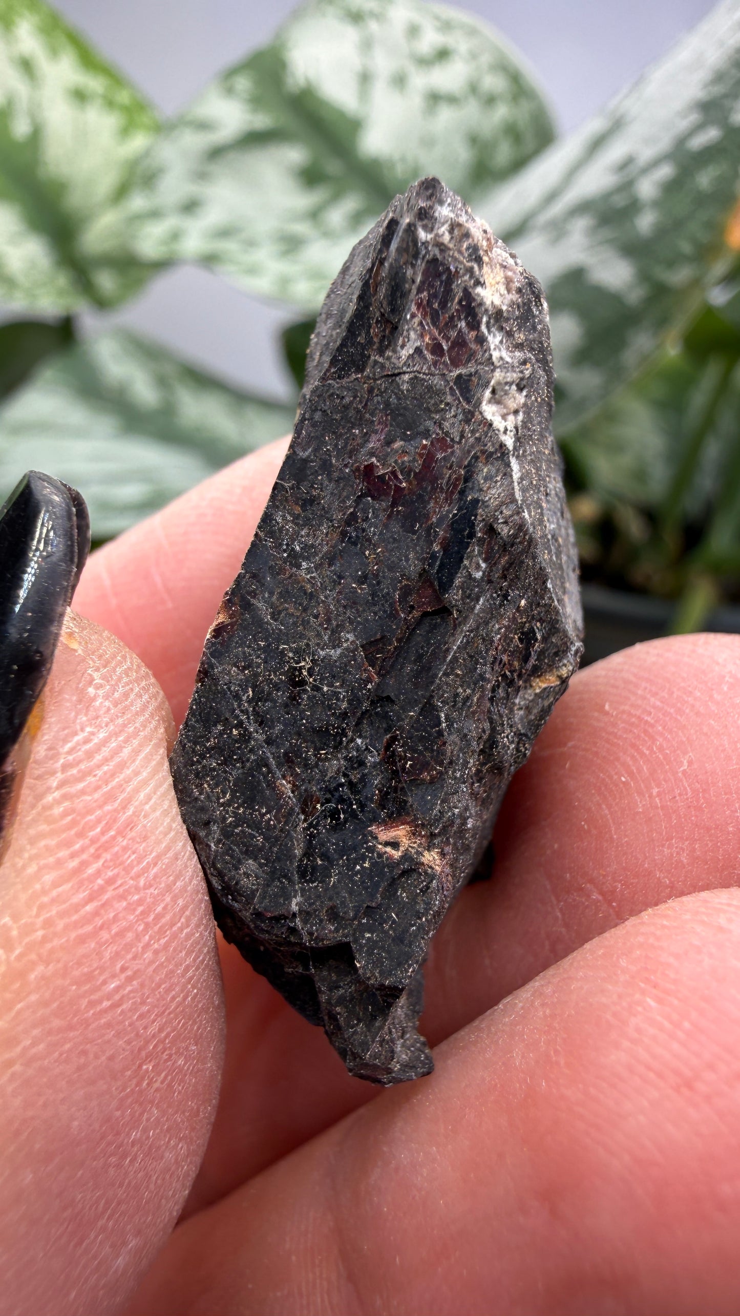 Tilasite- Långban Mine, Långban Ore District, Filipstad, Värmland County, Sweden
