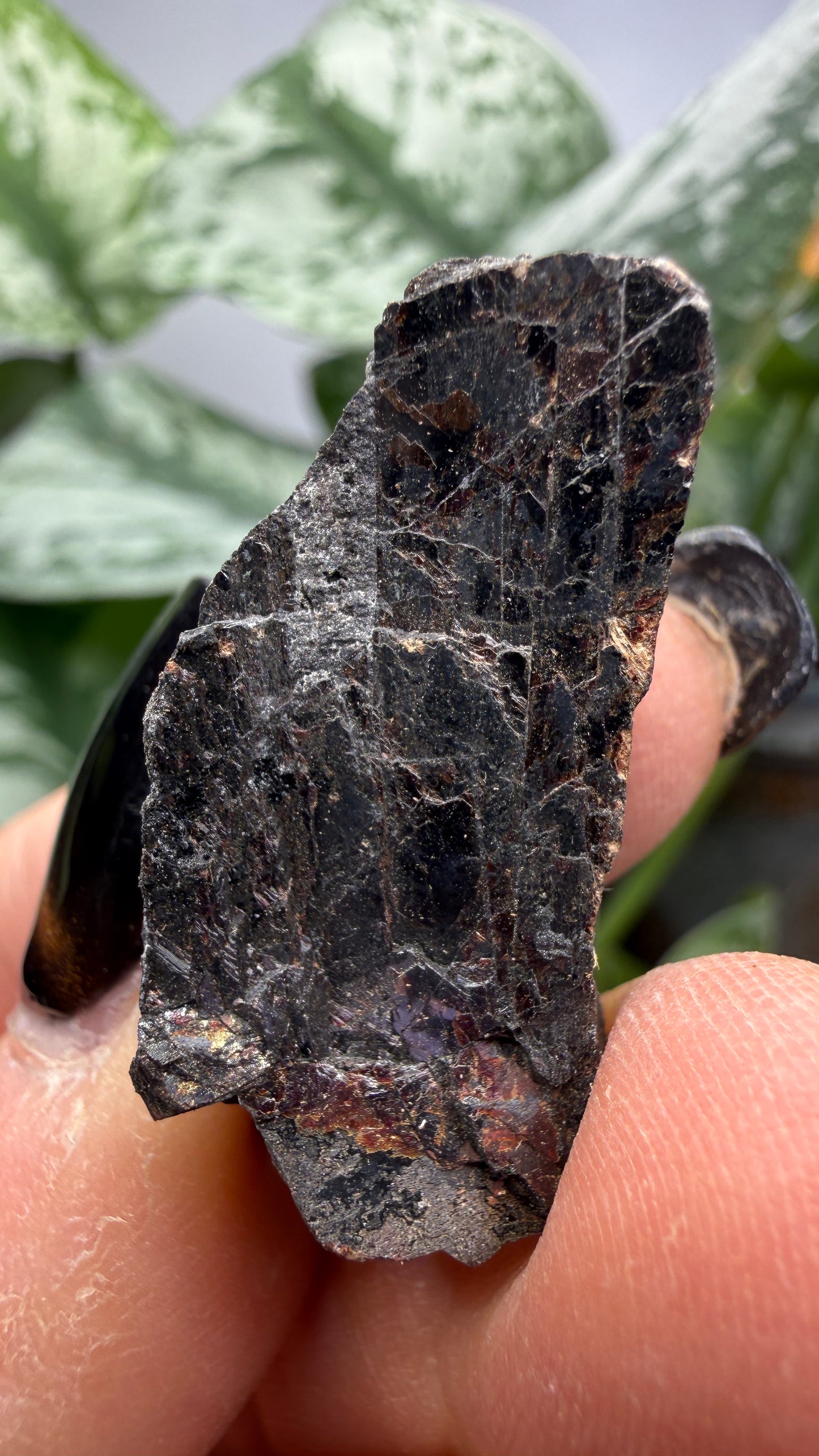 Tilasite- Långban Mine, Långban Ore District, Filipstad, Värmland County, Sweden