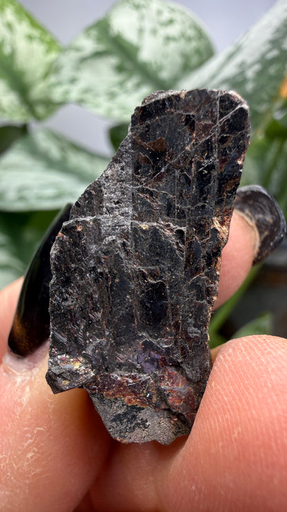 Tilasite- Långban Mine, Långban Ore District, Filipstad, Värmland County, Sweden