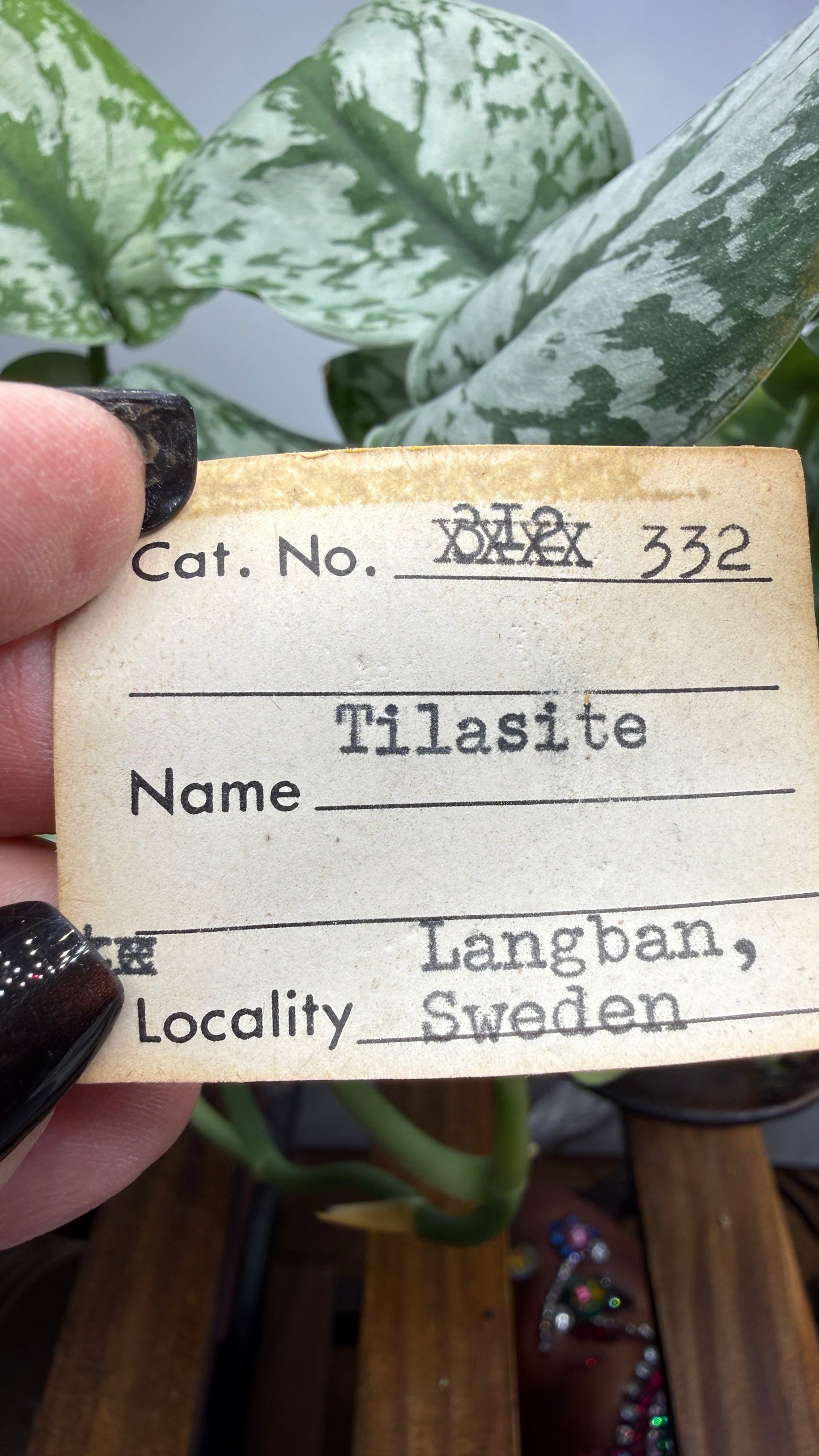 Tilasite- Långban Mine, Långban Ore District, Filipstad, Värmland County, Sweden