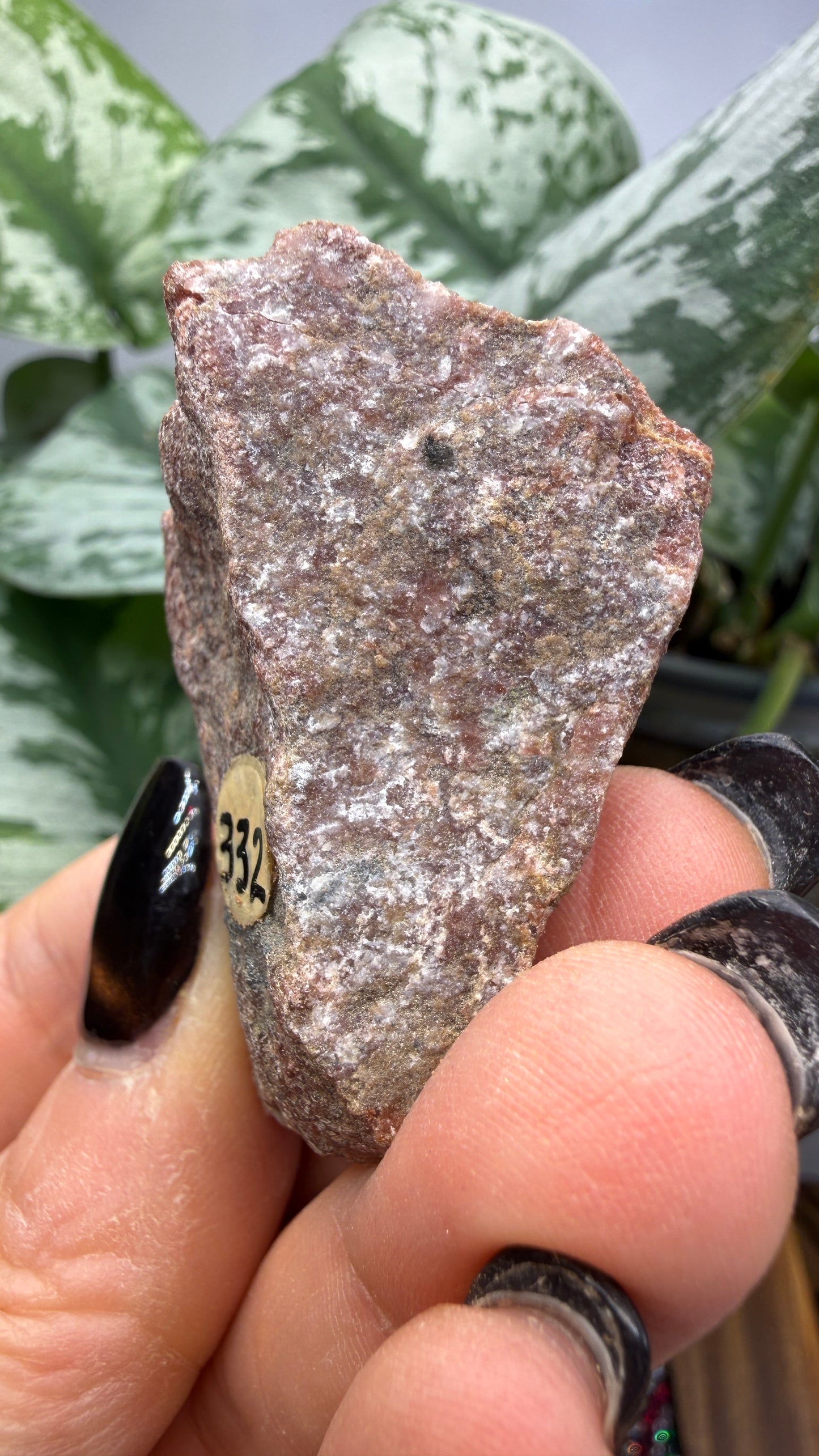 Hübnerite- Sonora, Mexico