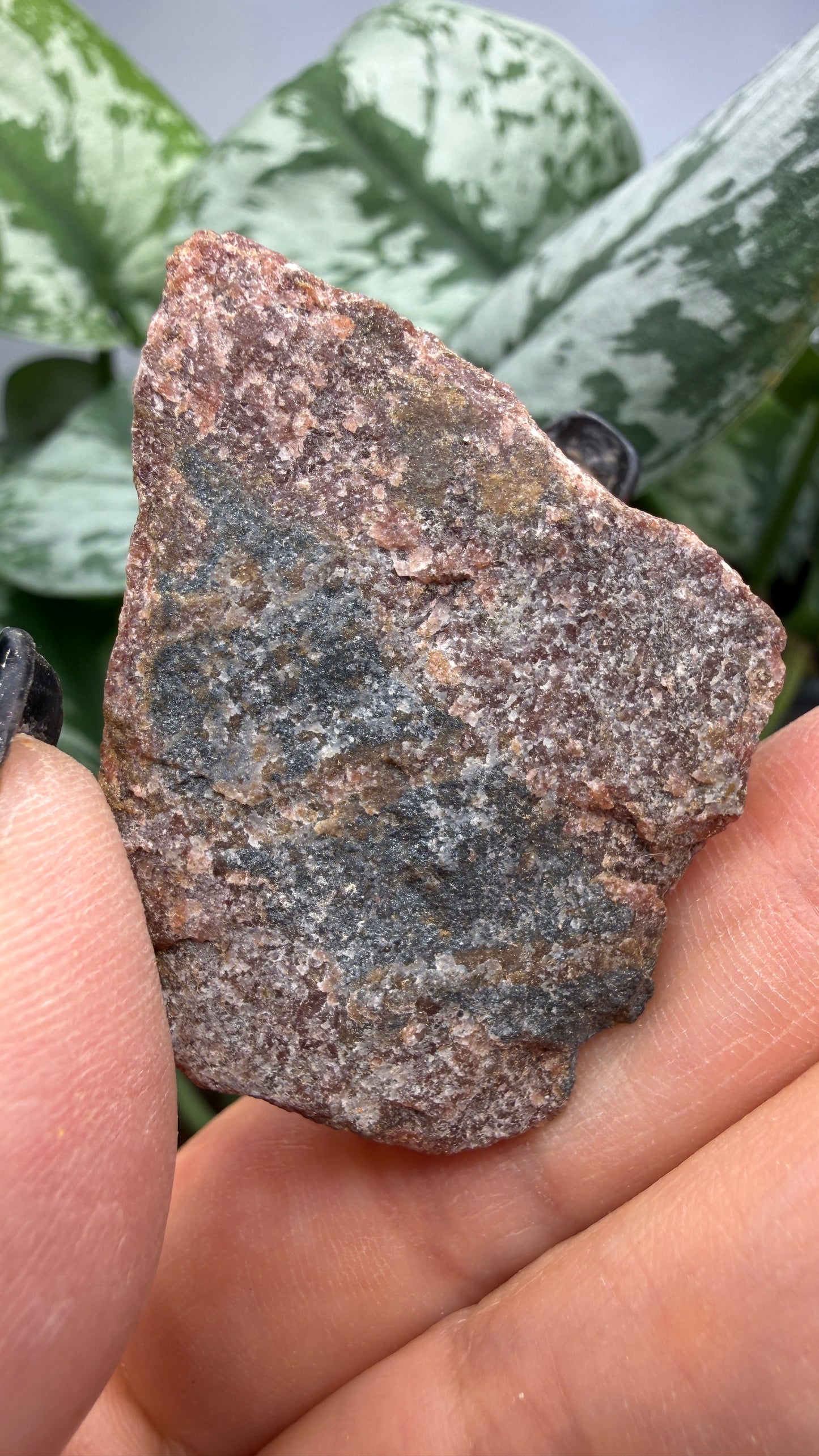 Hübnerite- Sonora, Mexico