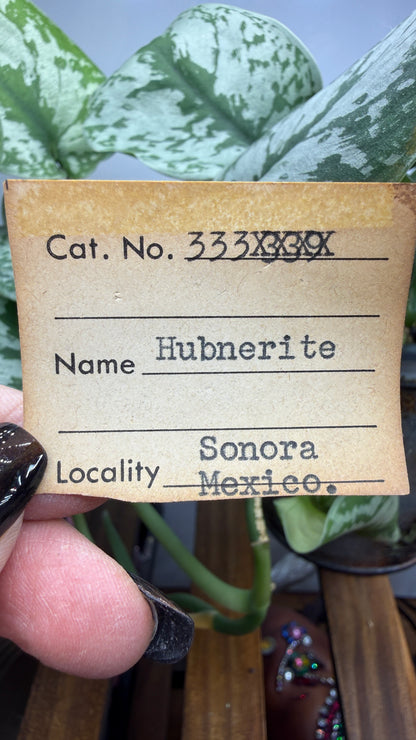 Hübnerite- Sonora, Mexico