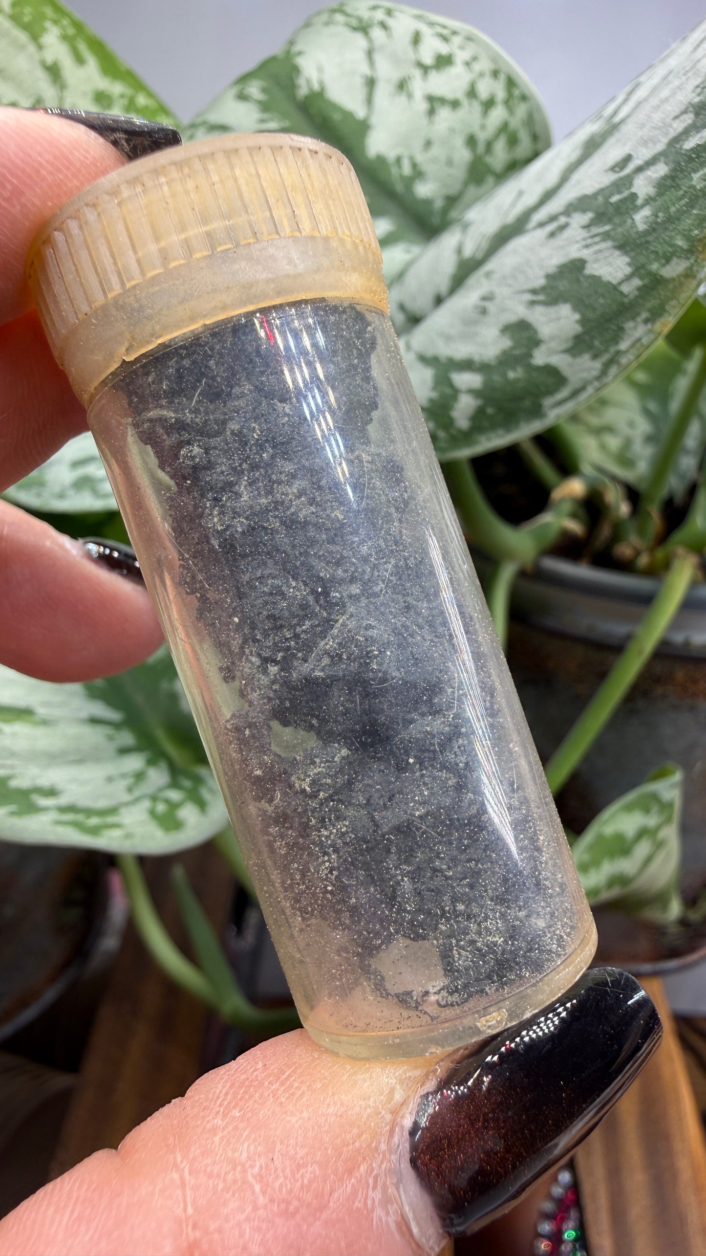 Melanovanadite- Minas Ragra, Peru (Type Locality)