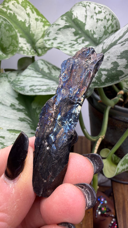 Iridescent Anthracite “Peacock Coal”- Pottsville, Pennsylvania