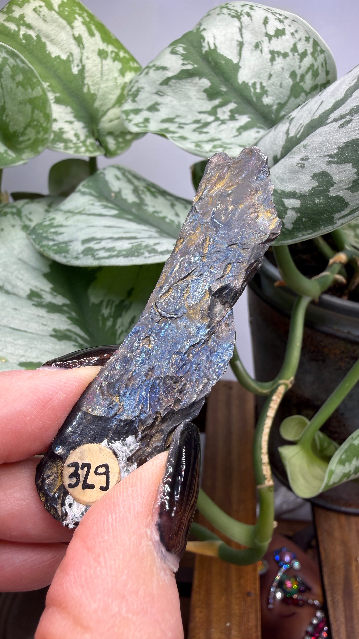 Iridescent Anthracite “Peacock Coal”- Pottsville, Pennsylvania
