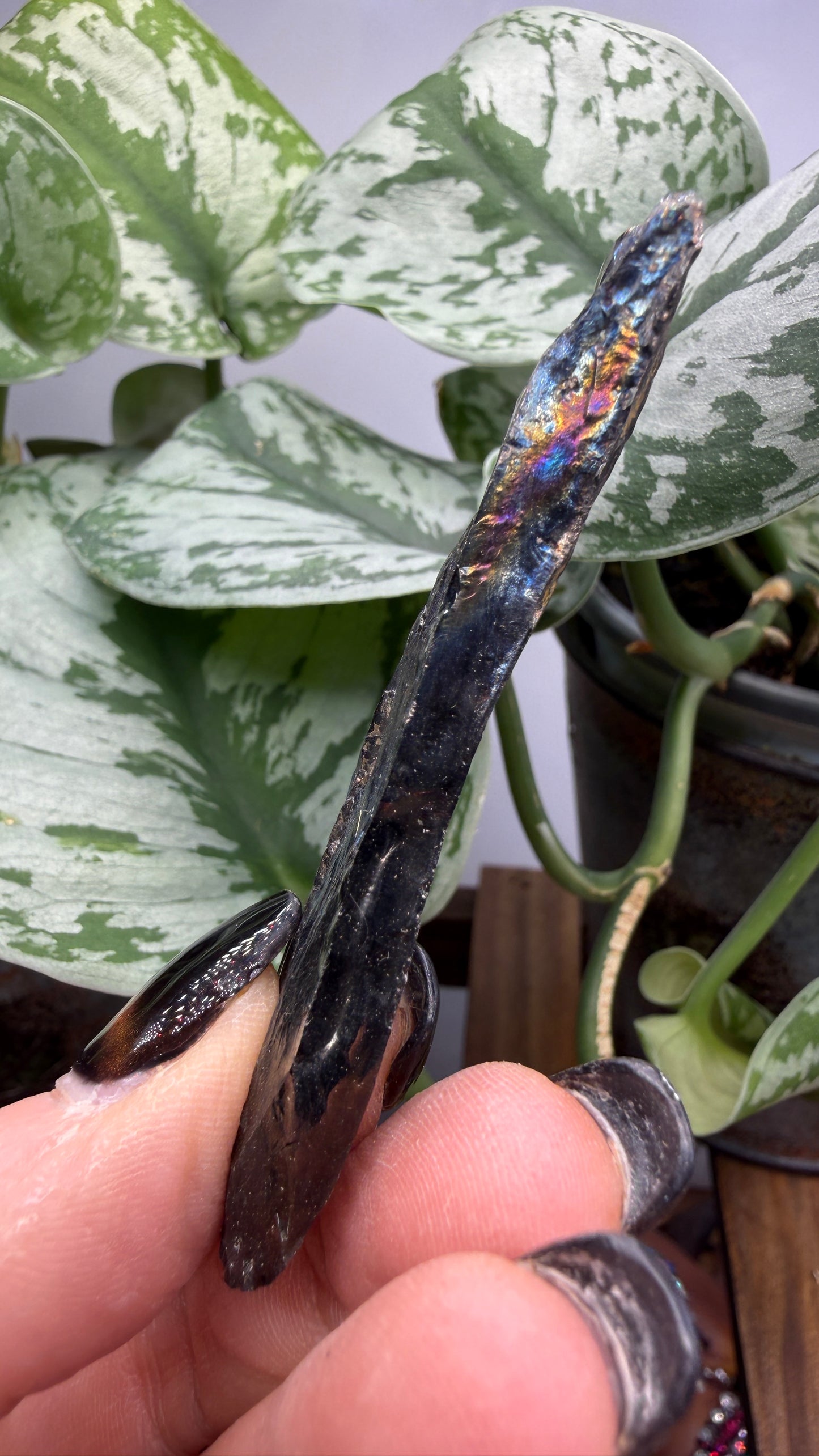 Iridescent Anthracite “Peacock Coal”- Pottsville, Pennsylvania