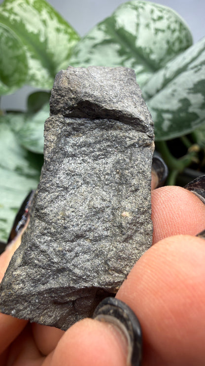 Freibergite (Silver-Rich Tetrahedrite)- Sunshine Mine, Coeur d’Alene District, Idaho- Ex. BURMINCO
